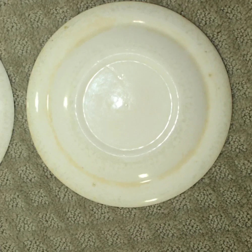 Set of 2 Currier & Ives Lake House Washington's Birthplace 7.25
